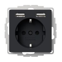 2USB Schutzkontakt-Steckdose inCharge Pro 55, 2,4 A, 12W,...